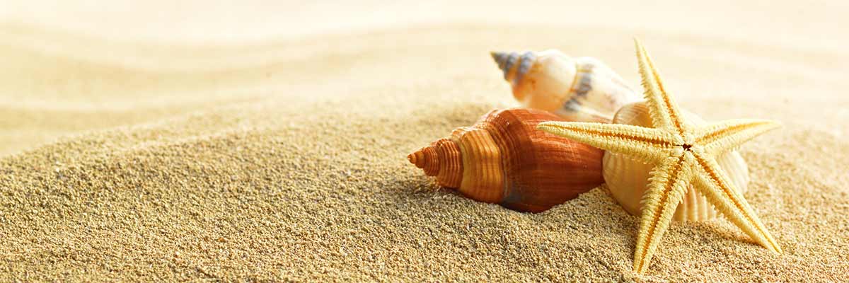 Shells, Sand