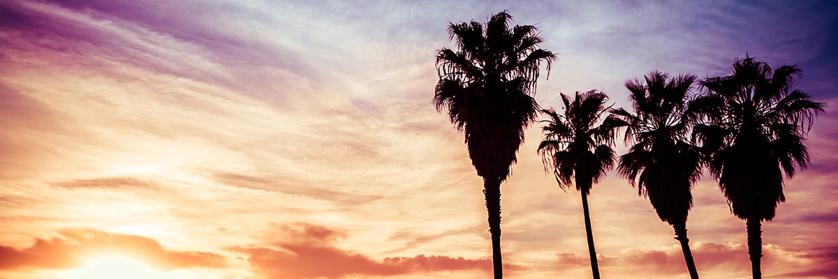 Venice Beach